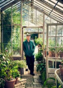 Web Design & WordPress Development