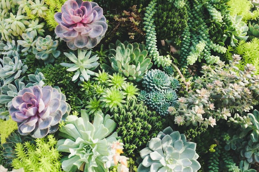 Garden design