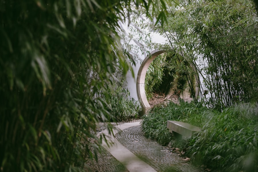 Photo Garden design