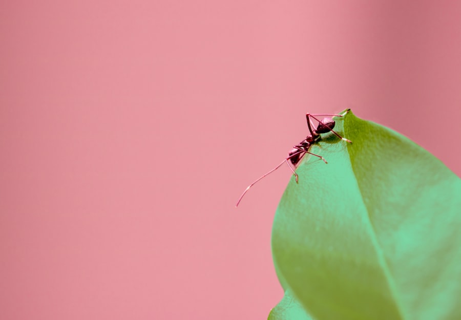 Pest Control WordPress Website