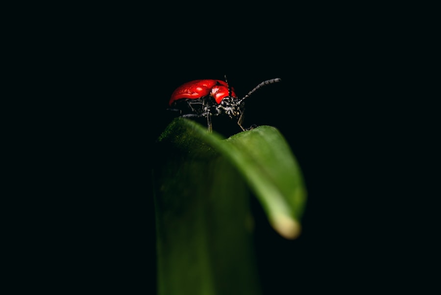 Photo Pest Control WordPress Website