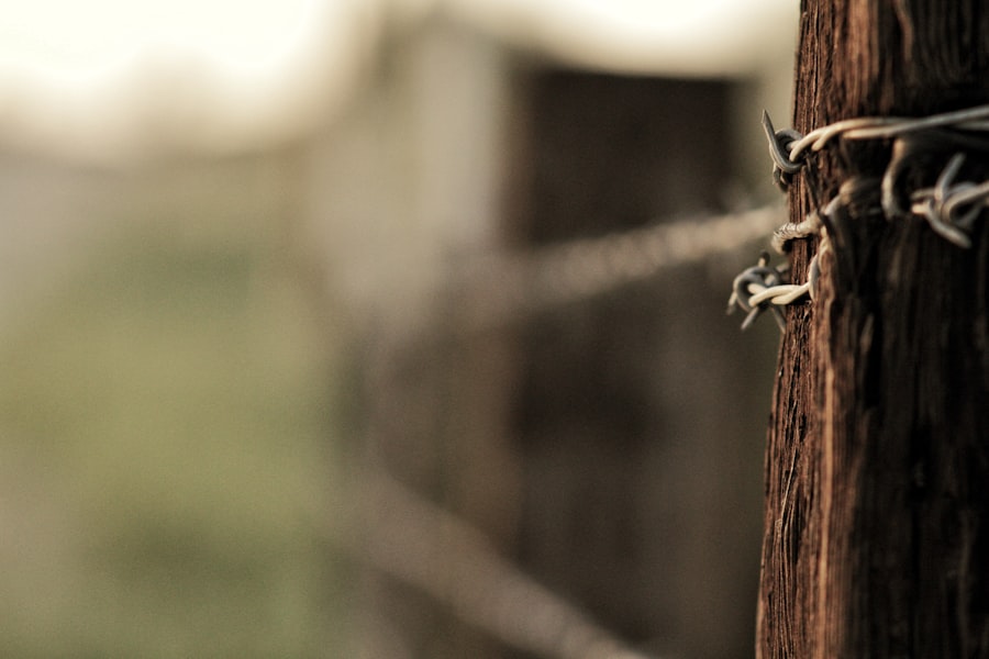 Photo Fencing Contractors WordPress Website
