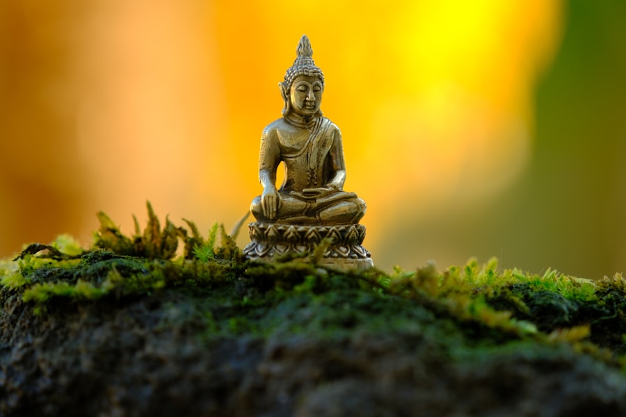 Photo Mindfulness Practices