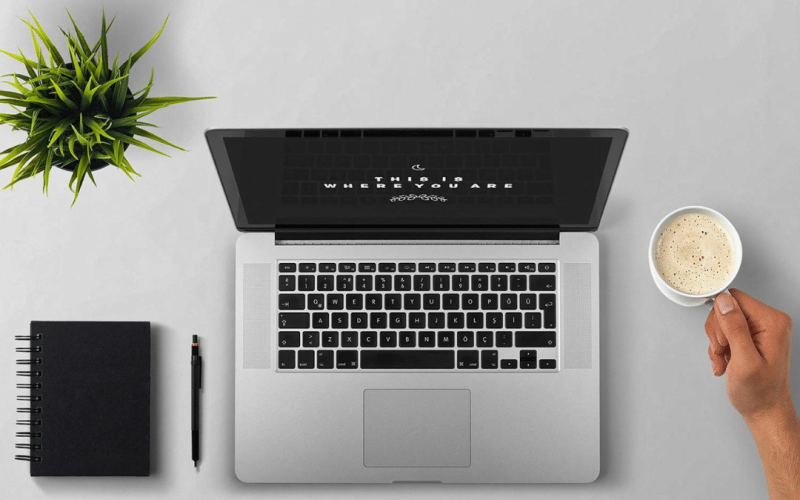 domain authority checker
