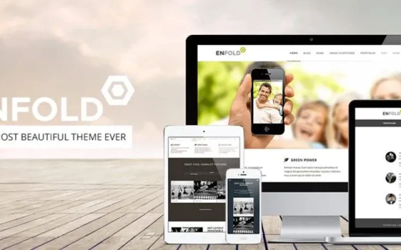 enfold_theme_developer