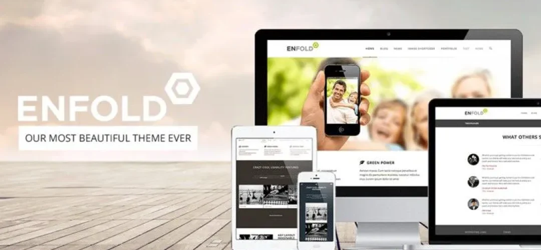 enfold_theme_developer