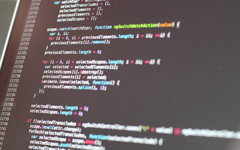 Web Design & WordPress Development