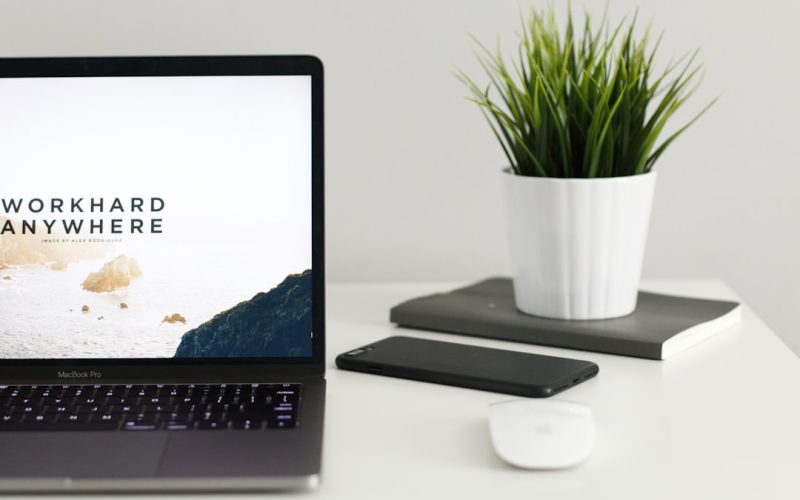 Web Design & WordPress Development