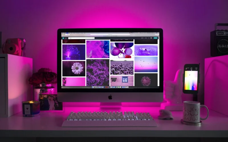 mansfield web designer