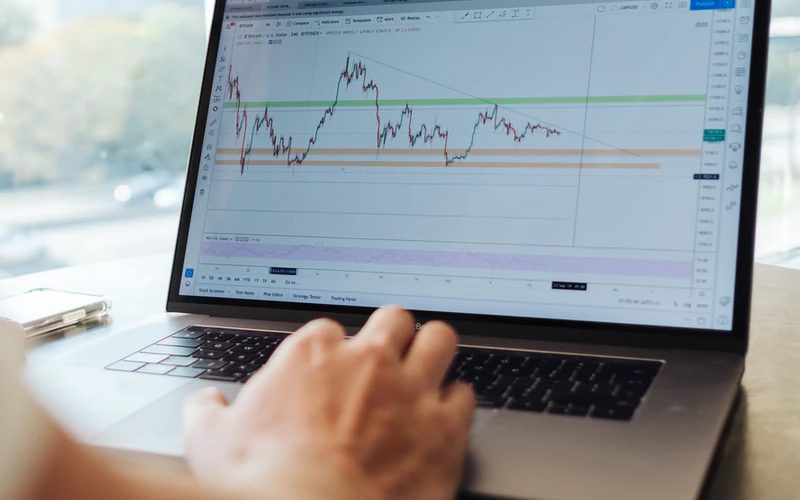 SEO Consultant