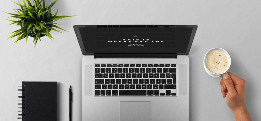 domain authority checker